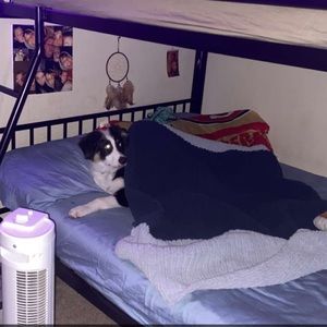 Meet your Posher, Jacob